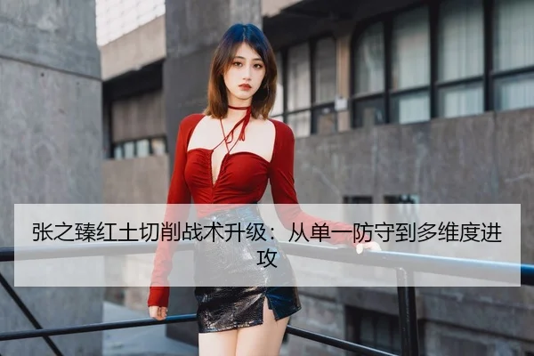 张之臻红土切削战术升级：从单一防守到多维度进攻