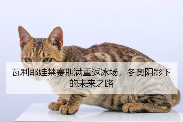 瓦利耶娃禁赛期满重返冰场，冬奥阴影下的未来之路