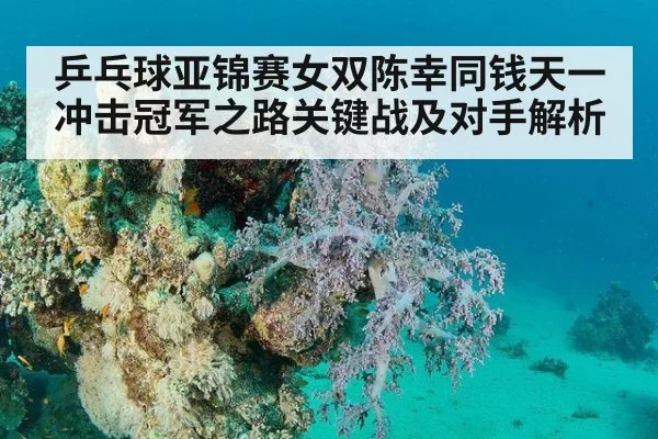 乒乓球亚锦赛女双陈幸同钱天一冲击冠军之路关键战及对手解析